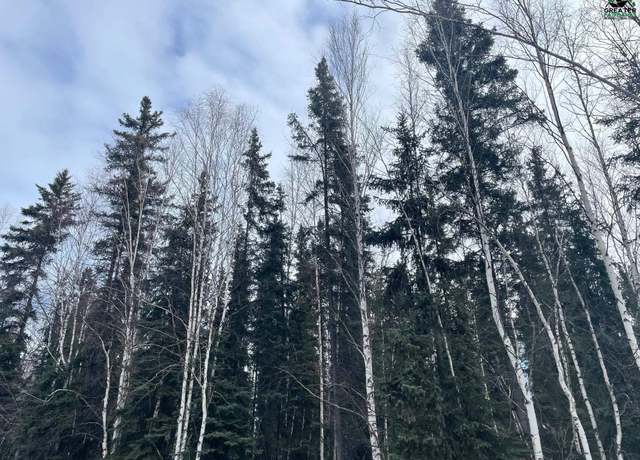 Property at NHN Chena Pump Rd Unit Heldiver Street, Fairbanks, AK 99709