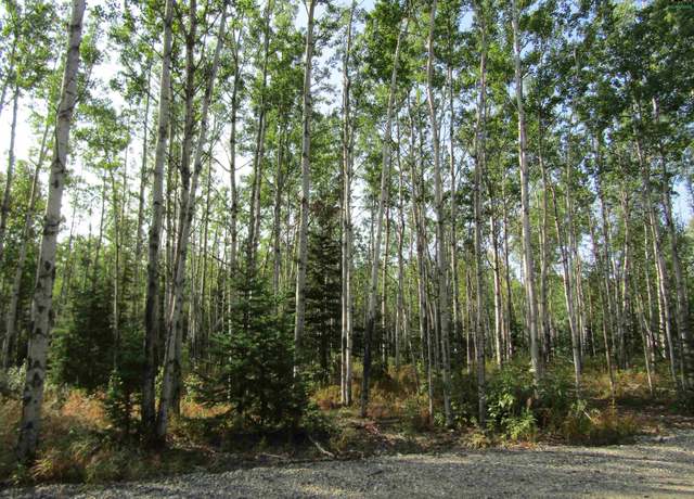 Property at L7BG Poquette St, Delta Junction, AK 99737