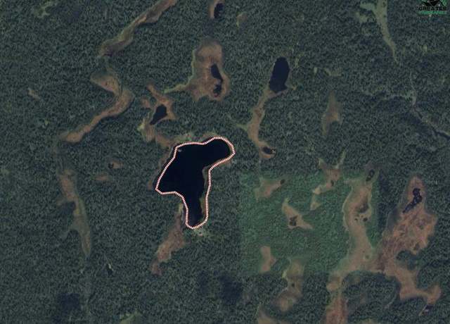 Property at Schnieder lake Nhn Remote, Talkeetna, AK 99676
