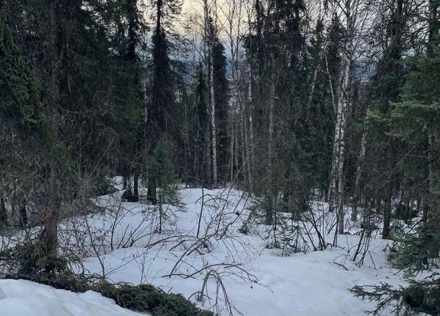 Property at nhn Himilaya Rd, Fairbanks, AK 99712
