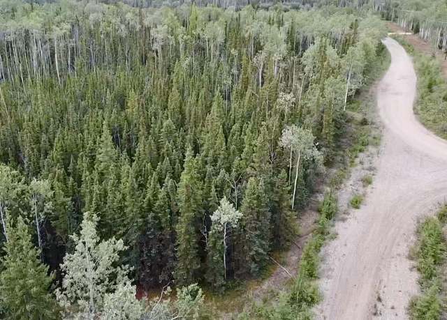 Property at Lot 1 Clearwater Dr, Delta Junction, AK 99737