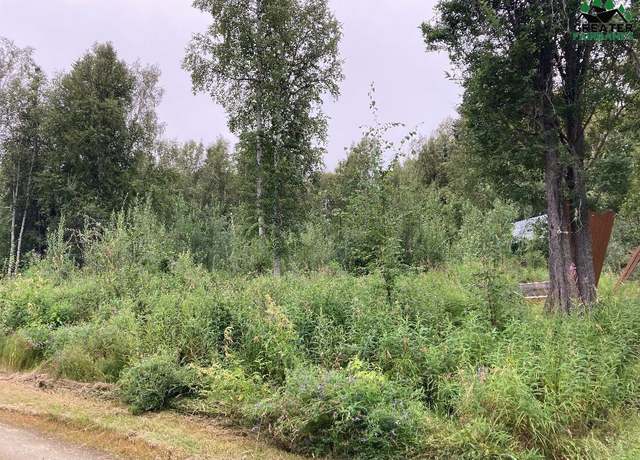 Property at NHN Sourdough St, Fairbanks, AK 99712