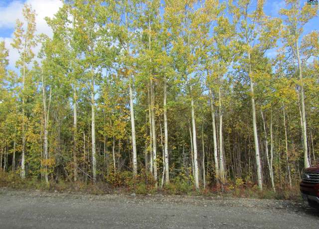 Property at L23 Cathy Ln, Delta Junction, AK 99737