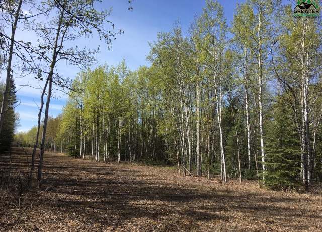 Property at L3 Leng Rd, Delta Junction, AK 99737