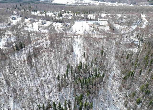 Property at Tract C Birch Knoll Rd, Fairbanks, AK 99712