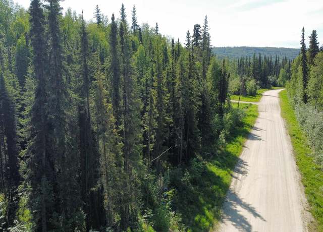 Property at L5B2 NHN Teresa Turnaround/mcgrath, Fairbanks, AK 99712