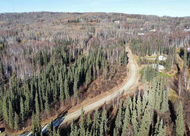 Property at L8B1 NHN Teresa Turnaround/mcgrath, Fairbanks, AK 99701