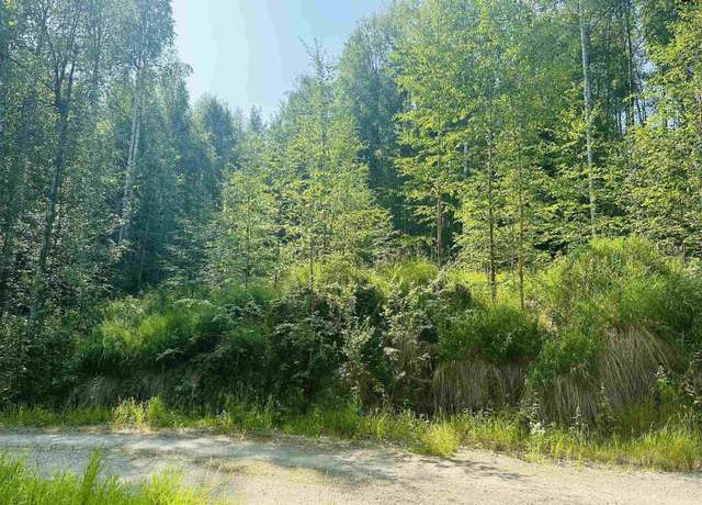 Property at NHN Chad St, Fairbanks, AK 99712