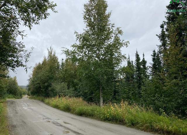 Property at NHN Whistling Swan Dr, Fairbanks, AK 99712