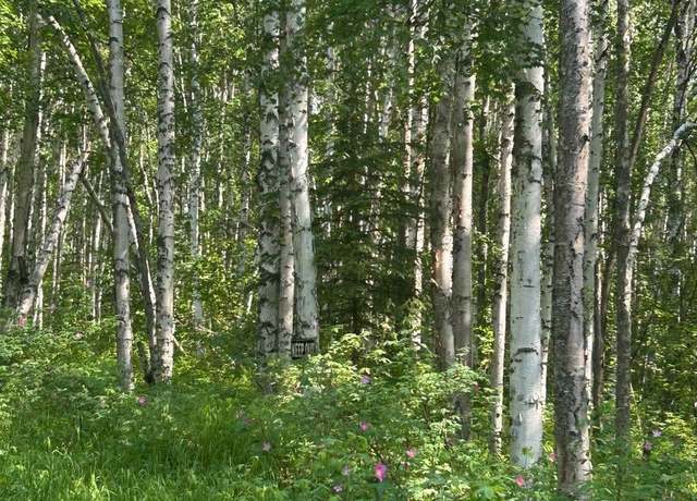 Property at NHN Elliott Hwy, Fairbanks, AK 99712