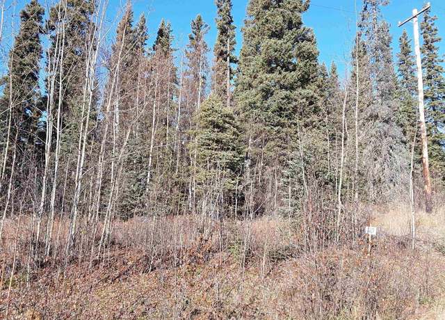 Property at Lot 3 Nenana Vly, Nenana, AK 99760