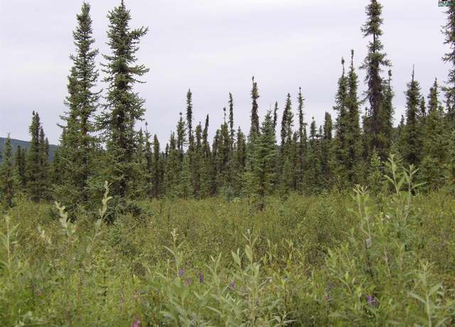 Property at NHN Jade St, Fairbanks, AK 99709