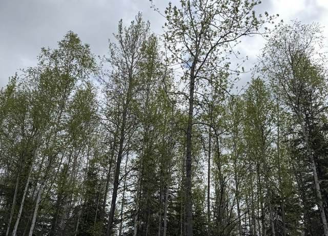 Property at 1564 Madeline St, North Pole, AK 99705