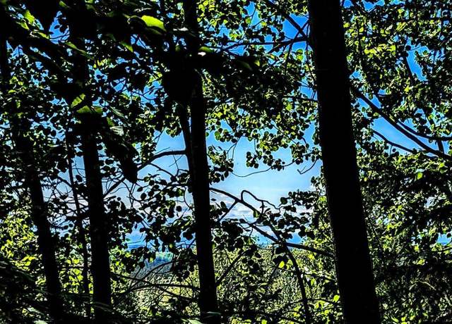 Property at NHN Shuros Dr, Fairbanks, AK 99709