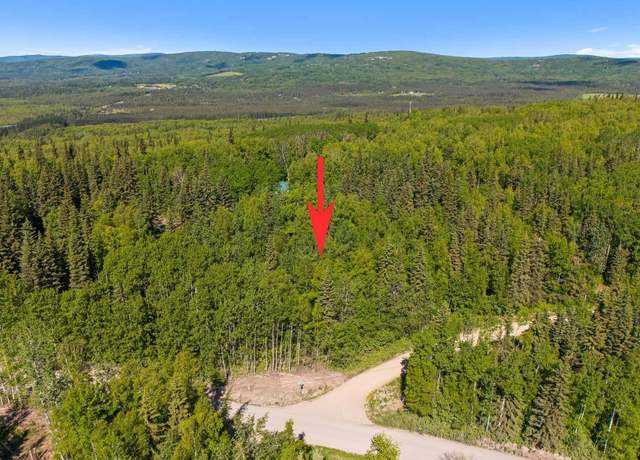 Property at NHN East Birch Hill Rd, Fairbanks, AK 99712