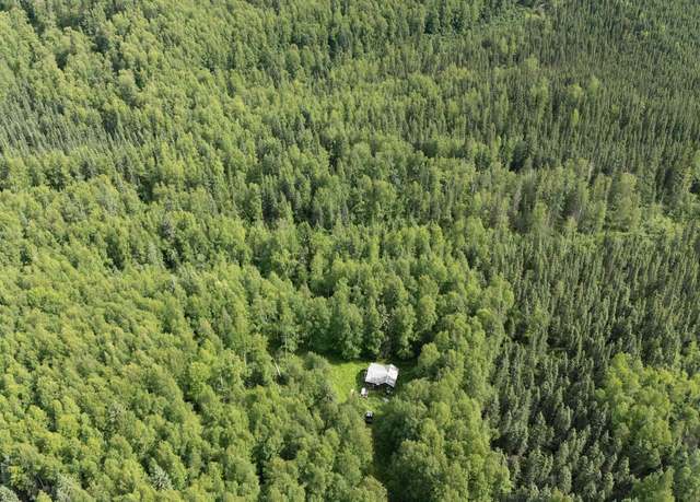 Property at N/A Amanita Rd, Fairbanks, AK 99712