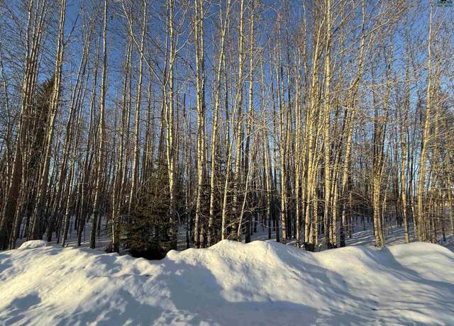 Property at NHN Nphs Blvd, North Pole, AK 99705