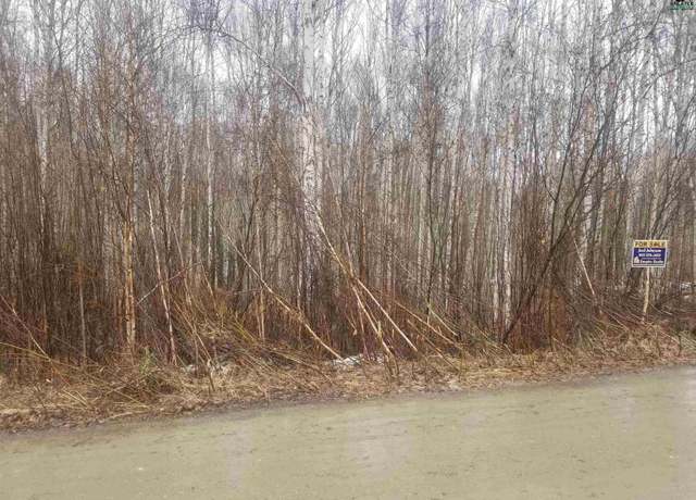 Property at NHN Birch Knoll Rd, Fairbanks, AK 99709
