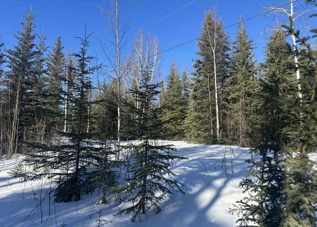 Property at L64 Placer Ln, Delta Junction, AK 99737