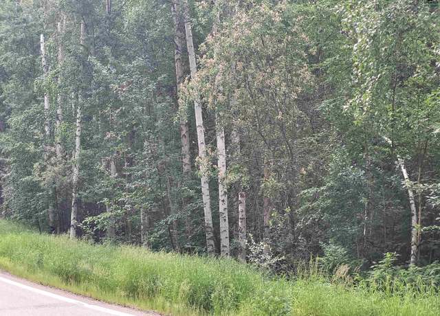 Property at NHN Steele Creek Rd, Fairbanks, AK 99712