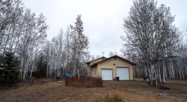 Photo of 5396 Nome Trail Rd, Delta Junction, AK 99737
