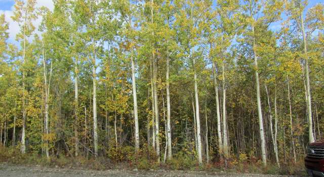 Photo of L23 Cathy Ln, Delta Junction, AK 99737