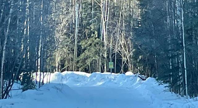 Photo of nhn Kiglowa Dr, Nenana, AK 99760