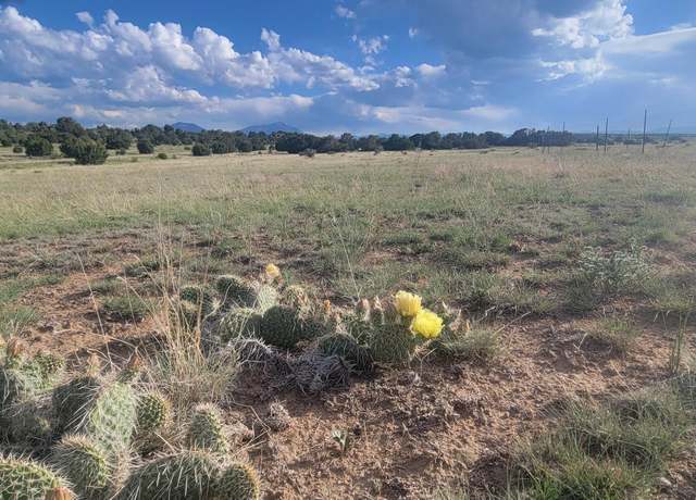 Property at Lot 47 Greenhorn Village Tr #1 Lot 47, Walsenburg, CO 81089