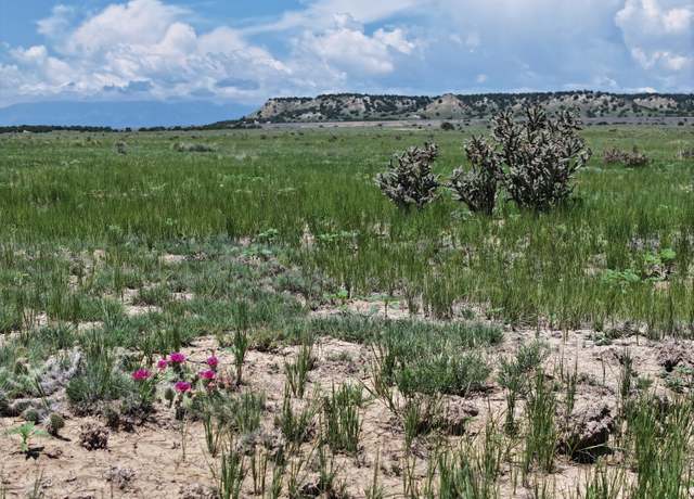 Property at TBD Narrow Gauge Way, Avondale, CO 81022