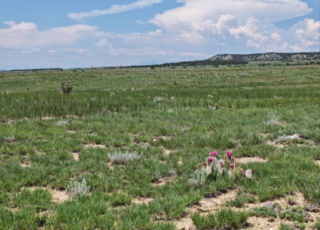 Property at TBD Cedarwood Station Rd, Avondale, CO 81022