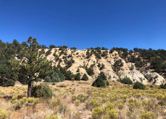 Property at 31 AC CR 634.2, Gardner, CO 81040