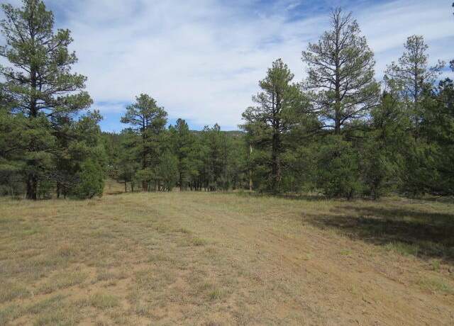 Property at 14200 Pine Dr, Weston, CO 81091