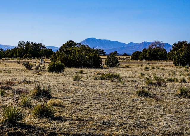 Property at TBD Black Diamond Dr #5, Walsenburg, CO 81089