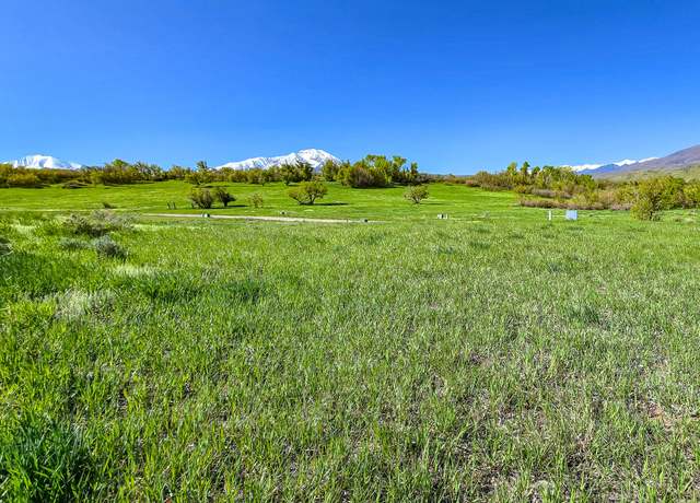 Property at TBD Grandote Golf & Country Clb #54, La Veta, CO 81055