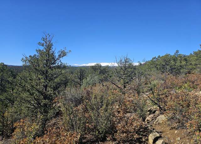 Property at TBD Meadowlark Dr #220, Weston, CO 81091