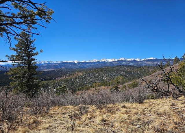 Property at 19493 Constanti Rdg #28, Weston, CO 81091