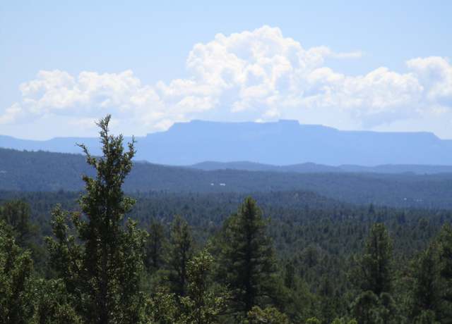 Property at TBD Bear Spur Rd, Aguilar, CO 81082