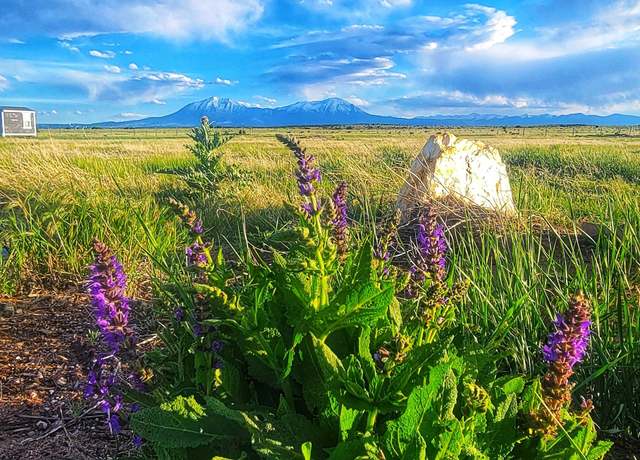 Property at TBD Chicosa Dr Lot 174, Walsenburg, CO 81089