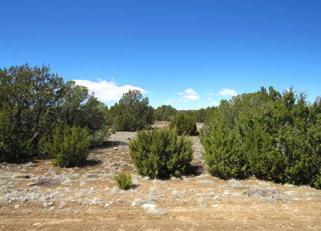 Property at Huajatolla Blvd Lot 814, Walsenburg, CO 81089