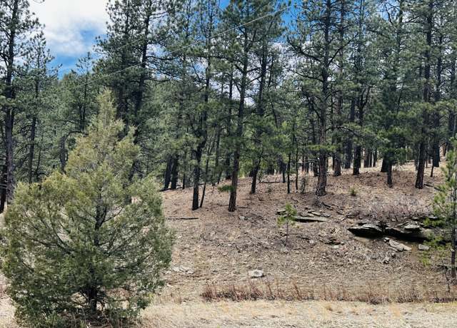 Property at Lot 36 Logging Canyon Rd #36, Weston, CO 81091