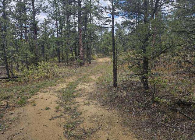 Property at 17990 King Rd #1166, Weston, CO 81091