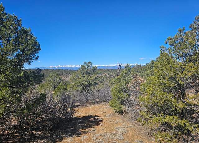Property at TBD Ponderosa Dr Unit 48D, Weston, CO 81091