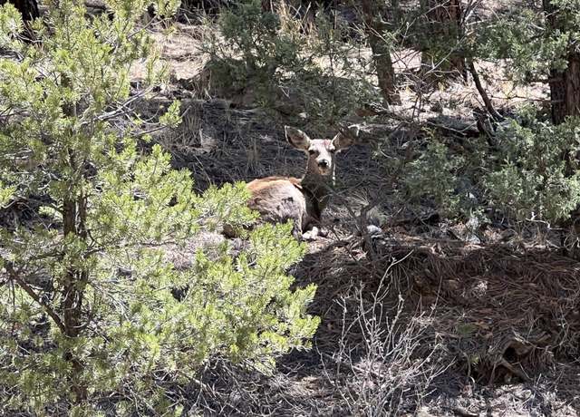 Property at 000 Timber Ridge Filing Tract 24, Weston, CO 81091