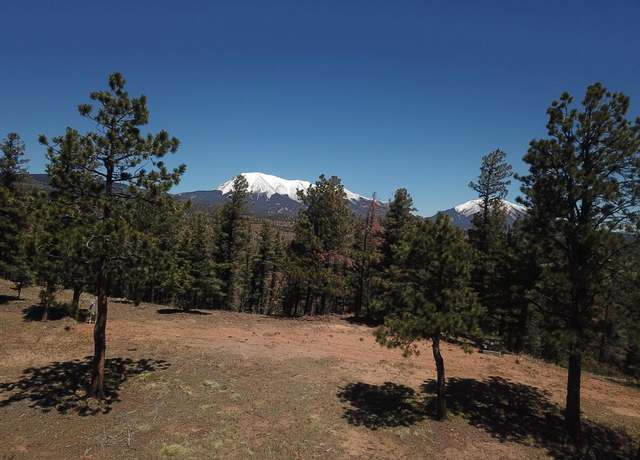 Property at 19498 Constanti Rdg, Weston, CO