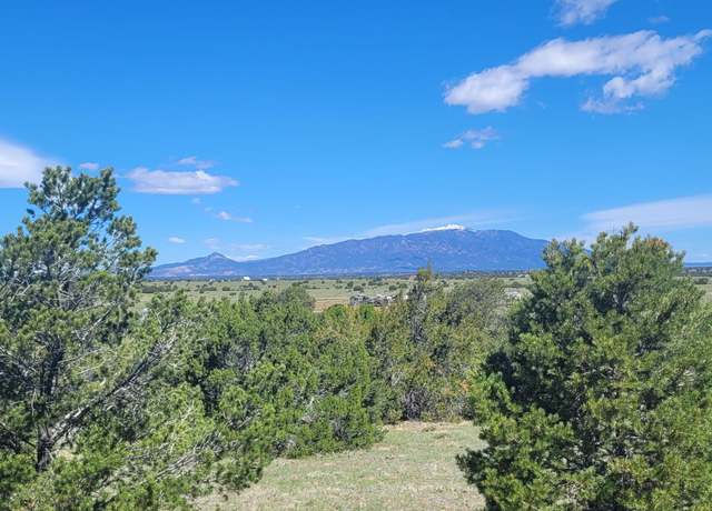 Property at TBD Greenhorn Village Tr 1 #19, Walsenburg, CO 81089