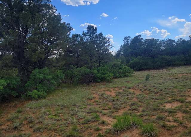 Property at Unassigned Minehart Rd, Weston, CO 81091