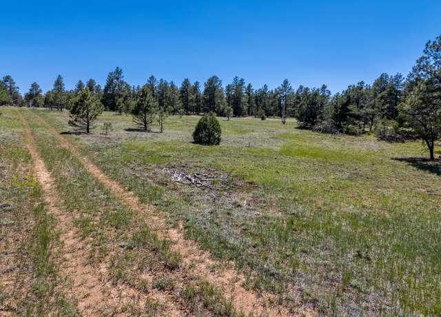 Property at 13583 Meadow Lark Dr Unit 7/205, Weston, CO 81091