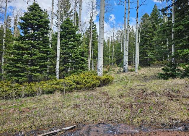 Property at TBD Purnell Ln, Ft. Garland, CO 81133