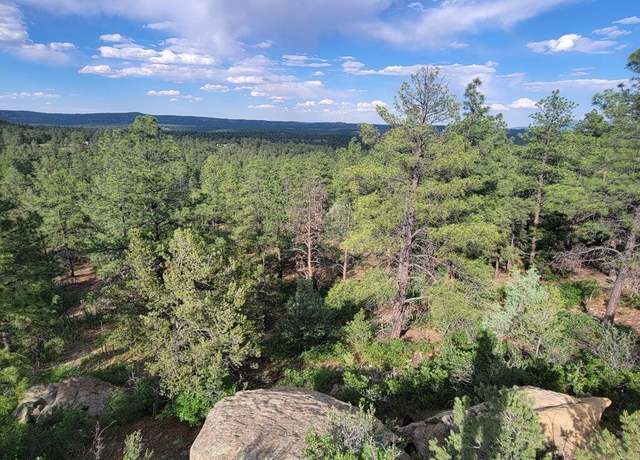 Property at Unassigned Minehart Rd #1134, Weston, CO 81091