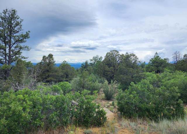 Property at TBD Columbine Cir #251, Weston, CO 81091